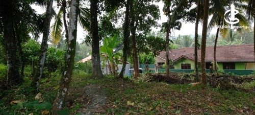 Land for Sale in Kalutara - Residential Land for Sale – Ballapitiya