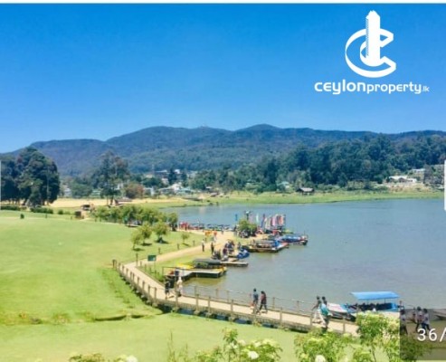Apartment for Holiday in Nuwara Eliya - Holiday Apartment for Rent in Nuwara Eliya
