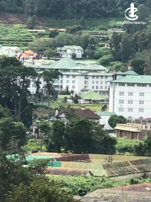 Apartment for Holiday in Nuwara Eliya - Fully Furnished Serviced Apartment for Rent in Nuwara Eliya