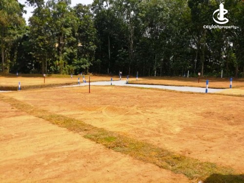 Land for Sale in Bentota - Land for sale -Benthota