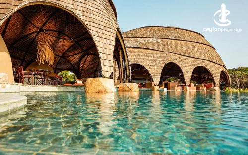 Wild Coast Tented Lodge