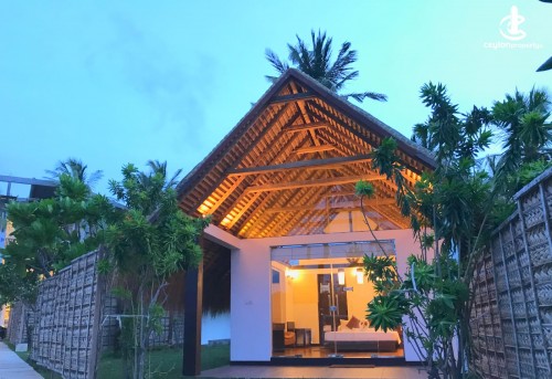 Blue Whale Beach Resort