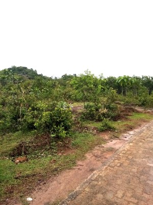 Land for Sale in Horana - Commercial Land for sale in Horana