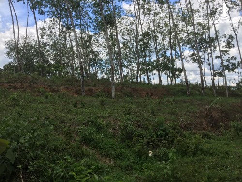 Land for Sale in Kosgama - Land for sale in Boralugoda Kosgama