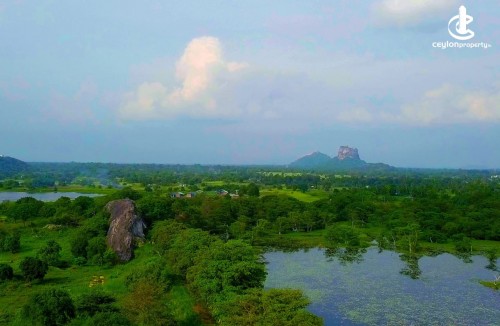 Other for Sale in Sigiriya - SIGIRIYA -6cs beautiful cottage style 46 room hotel sale