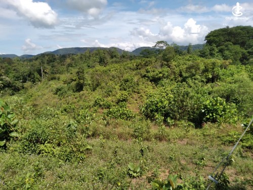 Land for Sale in Kalawana - Land for Sale in Kalawana