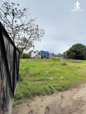 Land for Sale in Colombo 10 (Maradana,Panchikawatte) - For Sale Well Over An Acre In Colombo Municipality Centre