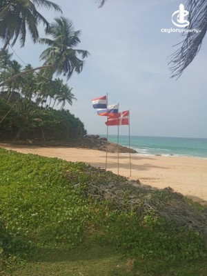 Land for Sale in Bentota - INDURUWA BEACH LAND 111 Perches Selling With 600 Ft Beach Front