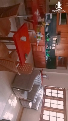House for Rent in Colombo 5 (Narahenpita,Havelock Town,Kirulapona North) - Colombo 5 Havelock Town 5000 SqFt Luxury 7 Bed Ho…