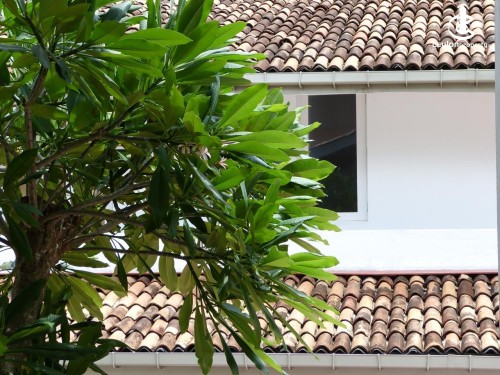 Apartment for Rent in Colombo 3 (Colpety,Kollupitiya) - Colombo 3 For Short Let 3 Bed Bawa's Colonial House To Rent