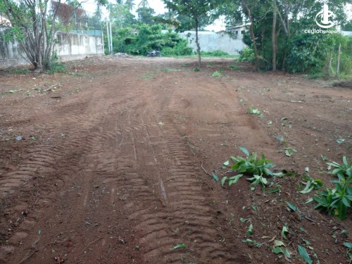 Land for Sale in Panadura - Panadura Bolgoda River 80 Ft Lake Front Bare Land For Sale