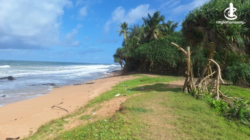 Land for Sale in Bentota - Bentota Kosgoda Beach Front Bare Land of 3 Acres For Sale
