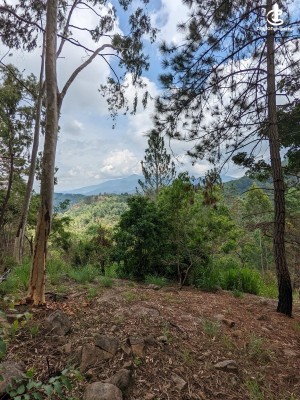 Land for Sale in Bandarawela - Bandarawela Ella Rathmallakanda 416 Perches Bare Land For