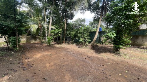 Land for Sale in Homagama - Homagama Godagama 25 Perches Agricultural Land For Sale