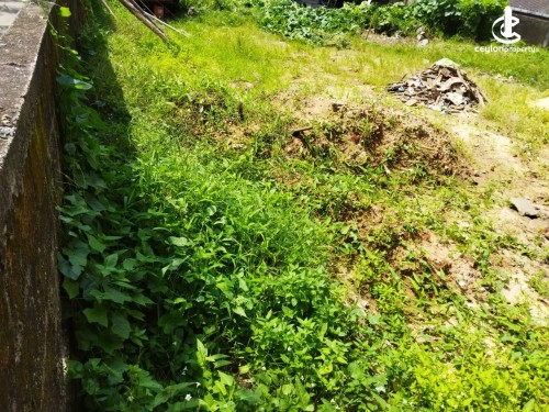 Land for Sale in Mount Lavinia - Mount Lavinia 48 Perches of Commercial Land For Sale