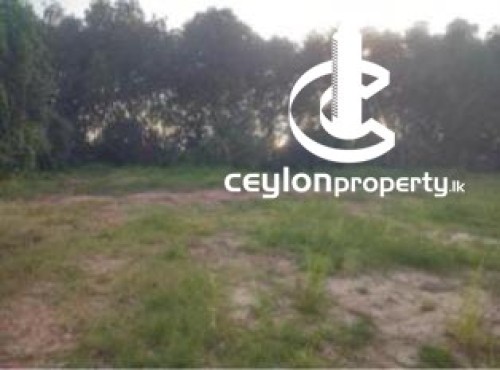 Land for Sale in Katunayake - Katunayake Kurana Facing Lagoon 80 Perches Bare Land For Sale