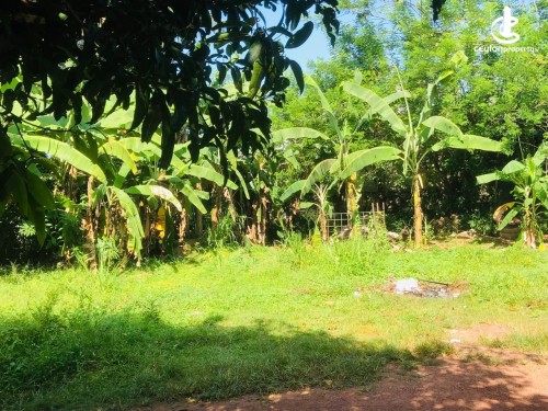 Land for Sale in Colombo 8 (Borella) - Colombo 8 On Lake Drive Bare Land Of 9 Perches For Sale