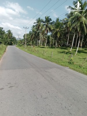 Land for Sale in Horana - Horana Handapangoda Road 7 Acres Land For Sale