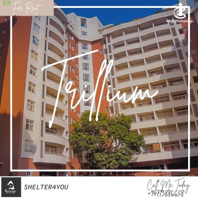 Apartment for Rent in Colombo 8 (Borella) - 3 Bedroom Apartment for Rent in Trillium Residencies