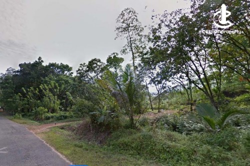 Land for Sale in Bulathsinhala - 90 acres for sale near kukuleganga , Bulathsinhala