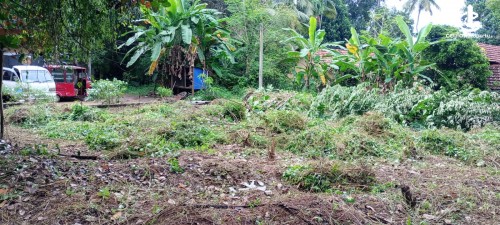 Land for Sale in Ganemulla - 12 Perches valuable Land For Sale In Ganemulla