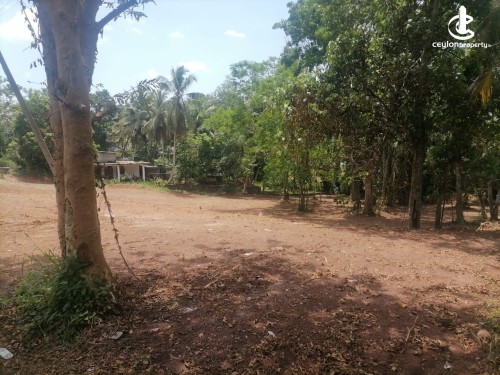 Land for Sale in Minuwangoda - Prime Land for Sale in Minuwangoda