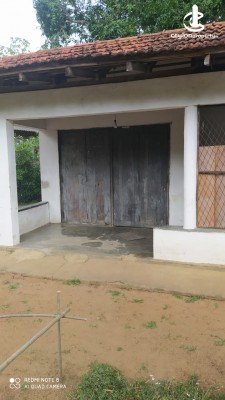 Land for Sale in Buttala - Valuable Land For Sale in Buttala, Badalkumbura