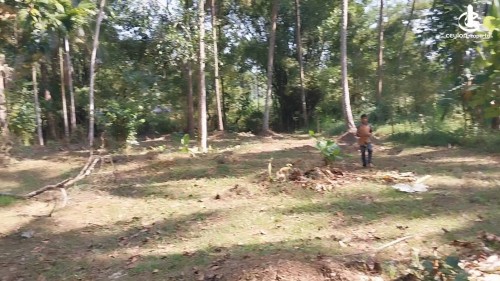 Land for Sale in Polgahawela - 30 Perches Land For Sale In Polgahawela