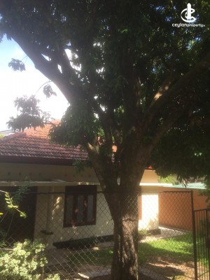 House for Rent in Pita Kotte - 4 Bedrooms House For Lease in Pita Kotte