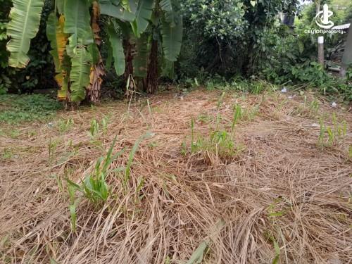 Land for Sale in Mattegoda - Valuable Land For Sale In Mattegoda