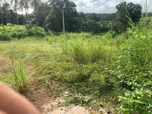 Land for Sale in Mattegoda - Valuable Land For Sale In Mattegoda