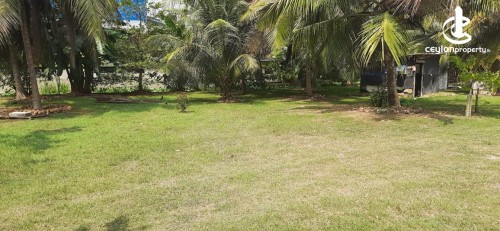 Land for Sale in Kotikawatta - Land For Sale In Kotikawatta