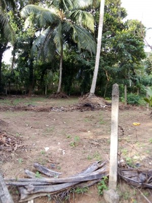 Land for Sale in Kahathuduwa - Land For Sale In Kahathuduwa