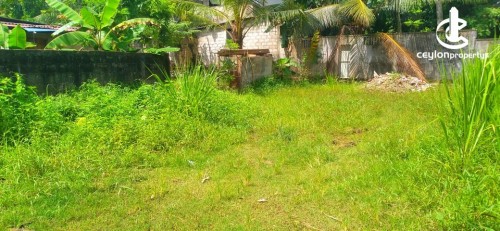 Land for Sale in Koswatta - Land For Sale In Koswatta