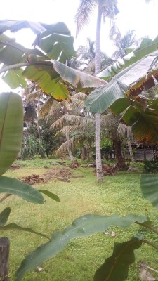 Land for Sale in Ja-Ela - 15.2 Perch Bare land for sale in Ja ela