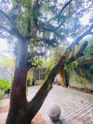 Land for Sale in Ratmalana - 6.67 Perch Land for sale in Ratmalana