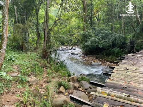 House for Sale in Badulla - 96 Perch River view Hoildya villa for sale in Badulla