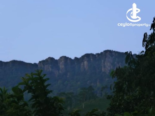 House for Sale in Kandy - 108 Perch Land with House for sale in Hanthana