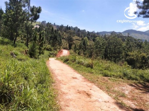 Land for Rent in Kandy - Prime Land for Long-Term Lease – Galaha (35 Minutes from Kandy)