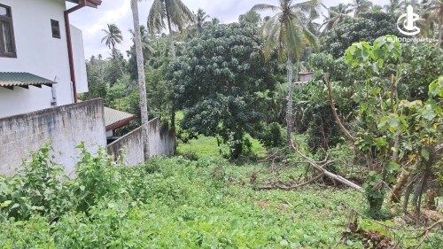 Land for Sale in Piliyandala - Land for Sale in Piliyandala