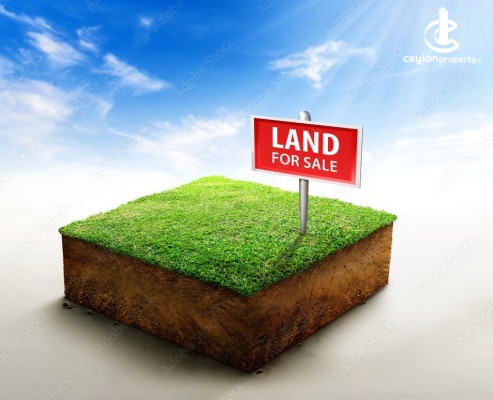 Land for Sale in Kahathuduwa - Land for Sale in Kahathuduwa