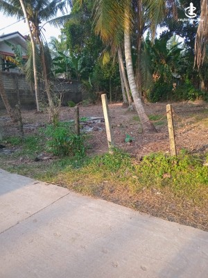Land for Sale in Minuwangoda - Valuable land for sale in Minuwangoda.