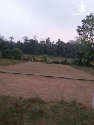 Land for Sale in Meegoda - Valuable land for sale in Meegoda.