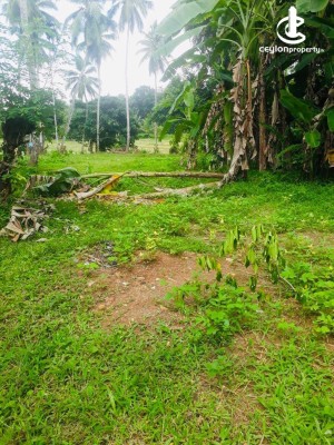 Land for Sale in Polgahawela - Land for Sale in Polgahawela..