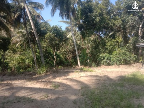 Land for Sale in Kandy - House with Land for Sale in Kandy.