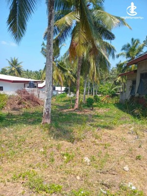 Land for Sale in Homagama - Land for Sale in Homagama.