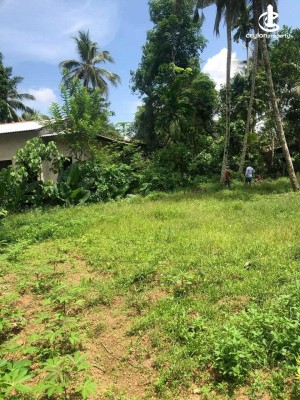 Land for Sale in Bandaragama - Land for Sale in Bandaragama.