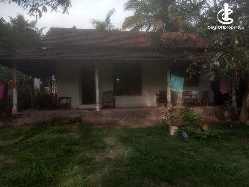 House for Sale in Divulapitiya - House for sale in Divulapitiya.