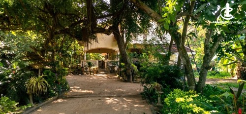 House for Sale in Negombo - Spacious Home on 78 Perches for Sale – Kochchikade, Negombo