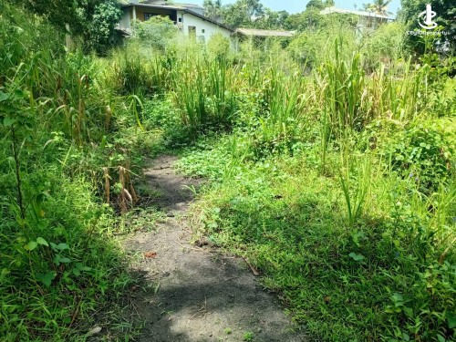 Land for Sale in Kiribathgoda - LAND FOR SALE IN KIRIBATHGODA, MAKOLA